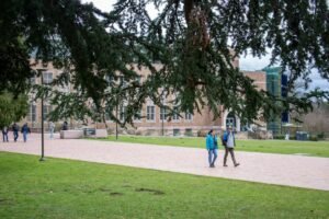 Students walk by a campus building under a tree