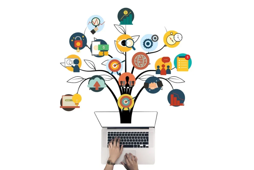 Personal brand: Business, establishing a business and startup