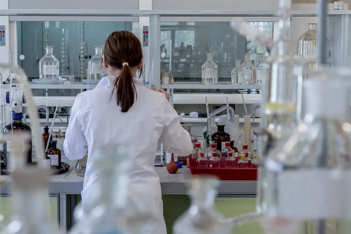 PhD in Germany 2026: Complete Guide for International Students